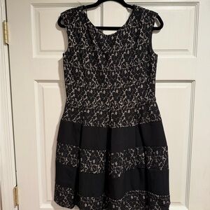 Tiana B. Black and Cream Lace Dress
